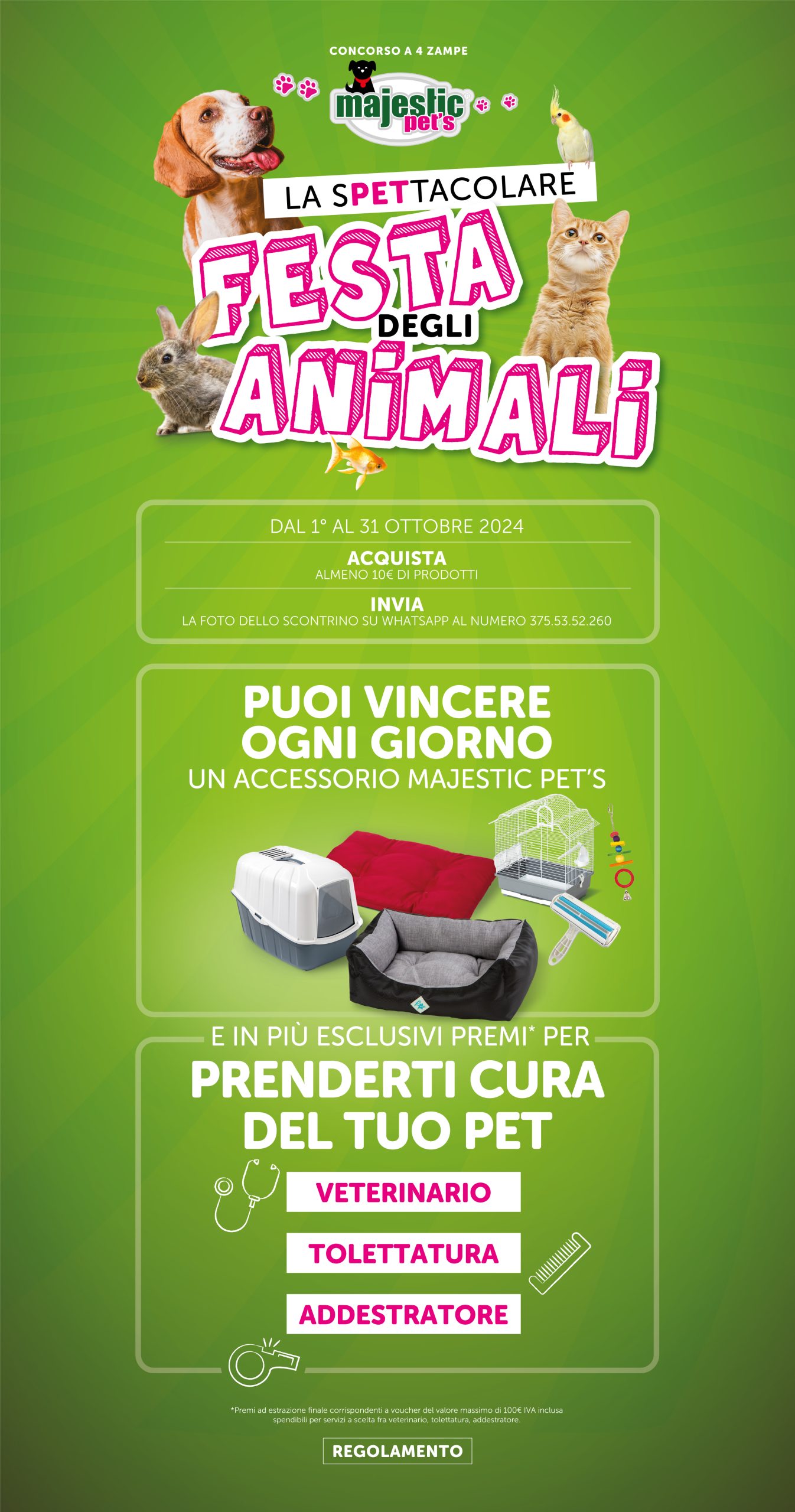 Landing page ottobre 2024