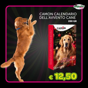 Camon calendario dell'avvento cane