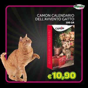 Camon calendario dell'avvento gatto