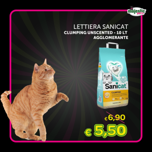 Lettiera Sanicat