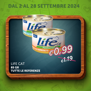 Life cat scatoletta