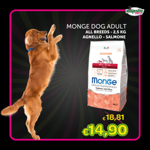 Monge Dog Adult