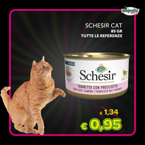 Schesir Cat