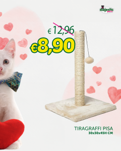 Tiragraffi pisa